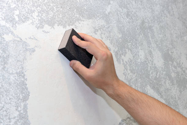 Best Basement Mold Removal  in Covedale, OH