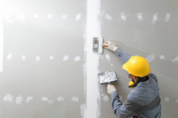 Mold Remediation for Rental Properties in Covedale, OH